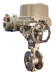 Клапаны сегментные